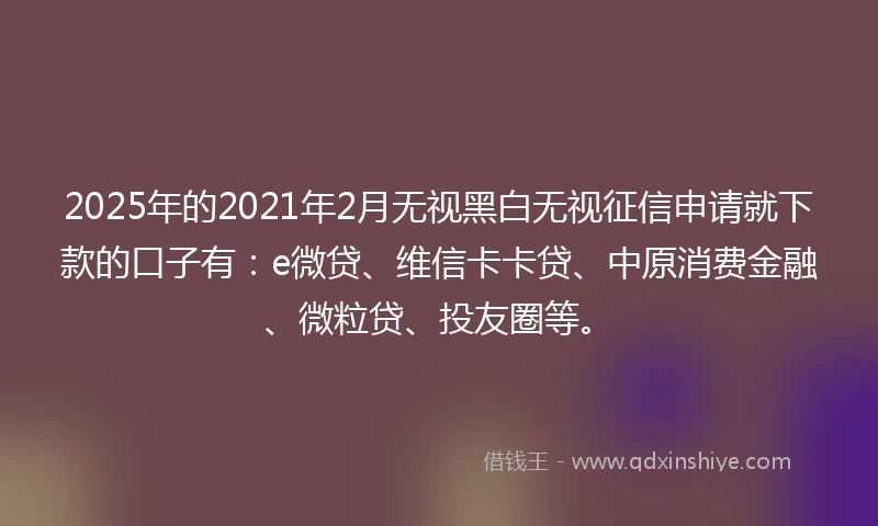 2025年的2021年2月无视黑白无视征信申请就下款的口子有：e微贷、维信卡卡贷、中原消费金融、微粒贷、投友圈等。