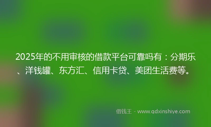 2025年的不用审核的借款平台可靠吗有：分期乐、洋钱罐、东方汇、信用卡贷、美团生活费等。