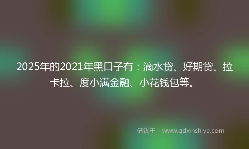 2025年的2021年黑口子有：滴水贷、好期贷、拉卡拉、度小满金融、小花钱包等。