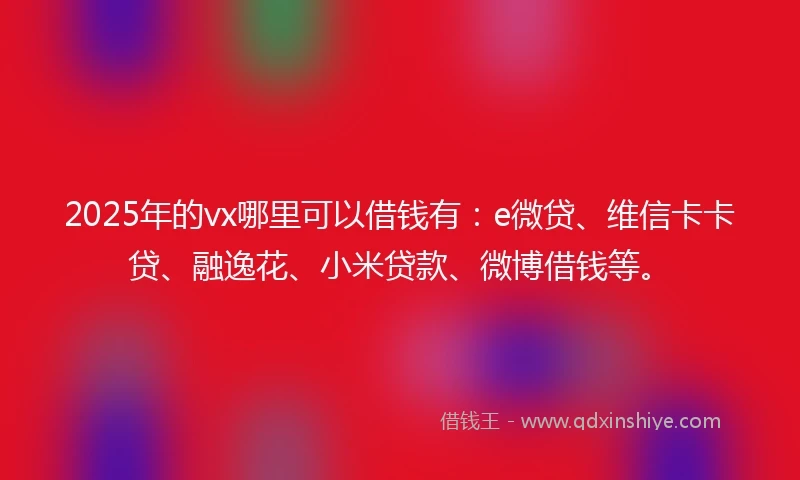 2025年的vx哪里可以借钱有：e微贷、维信卡卡贷、融逸花、小米贷款、微博借钱等。