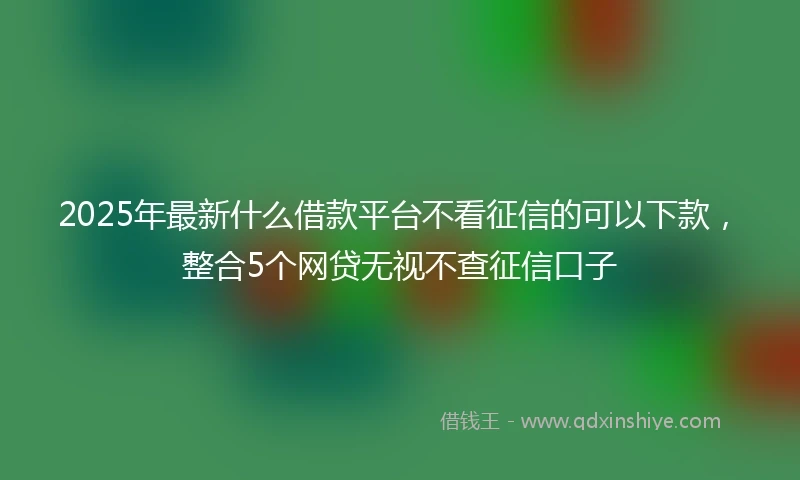 2025年最新什么借款平台不看征信的可以下款，整合5个网贷无视不查征信口子