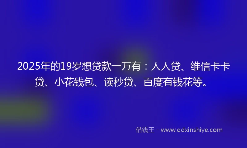 2025年的19岁想贷款一万有：人人贷、维信卡卡贷、小花钱包、读秒贷、百度有钱花等。