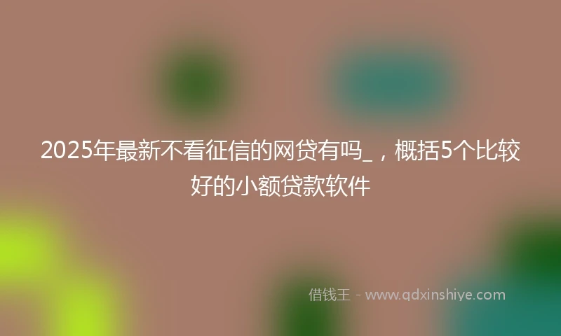2025年最新不看征信的网贷有吗_，概括5个比较好的小额贷款软件