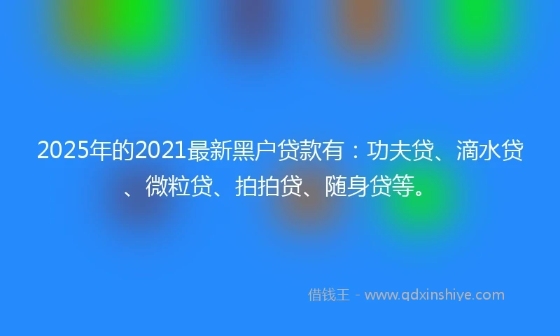 2025年的2021最新黑户贷款有：功夫贷、滴水贷、微粒贷、拍拍贷、随身贷等。