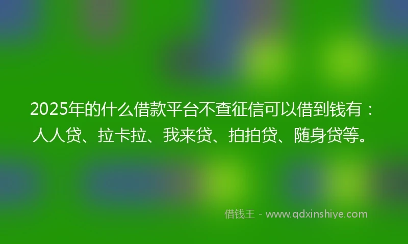 2025年的什么借款平台不查征信可以借到钱有：人人贷、拉卡拉、我来贷、拍拍贷、随身贷等。