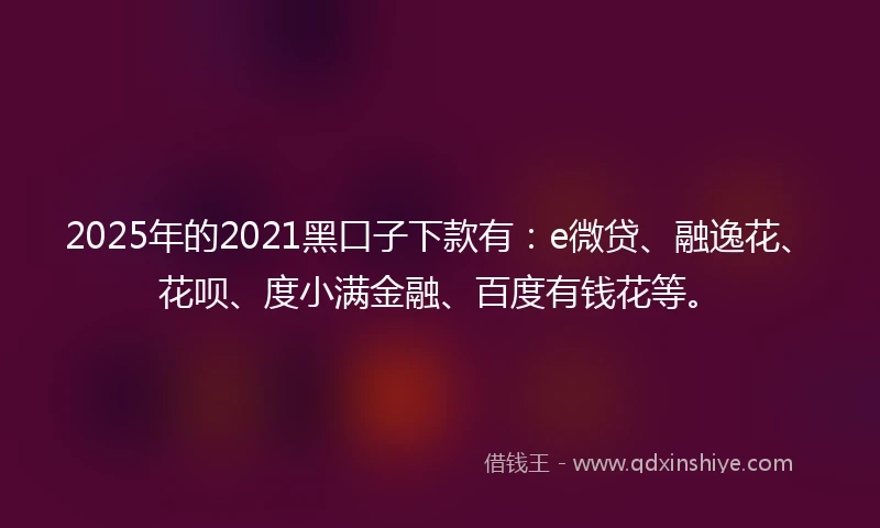 2025年的2021黑口子下款有：e微贷、融逸花、花呗、度小满金融、百度有钱花等。