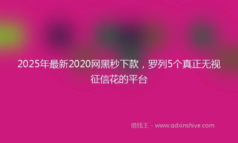 2025年最新2020网黑秒下款，罗列5个真正无视征信花的平台