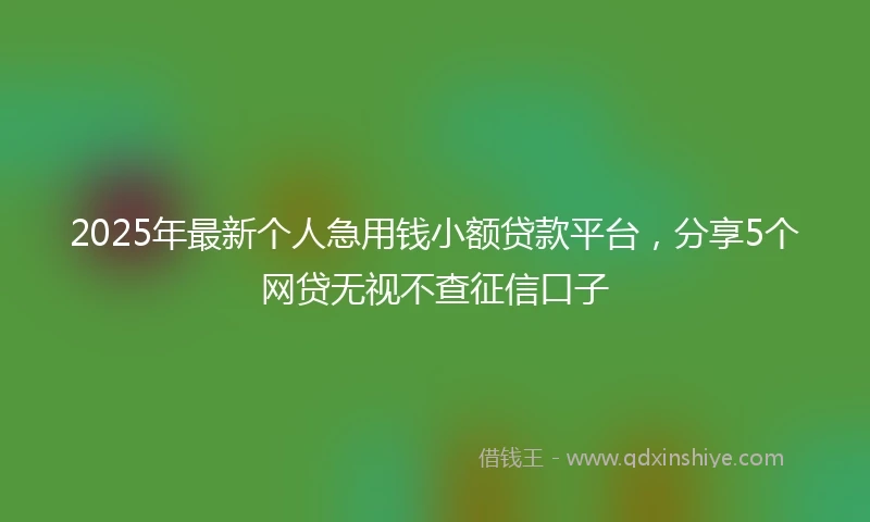 2025年最新个人急用钱小额贷款平台，分享5个网贷无视不查征信口子
