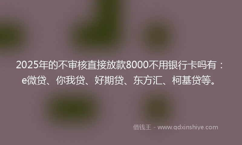 2025年的不审核直接放款8000不用银行卡吗有：e微贷、你我贷、好期贷、东方汇、柯基贷等。