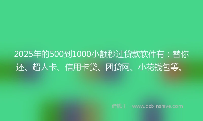 2025年的500到1000小额秒过贷款软件有：替你还、超人卡、信用卡贷、团贷网、小花钱包等。