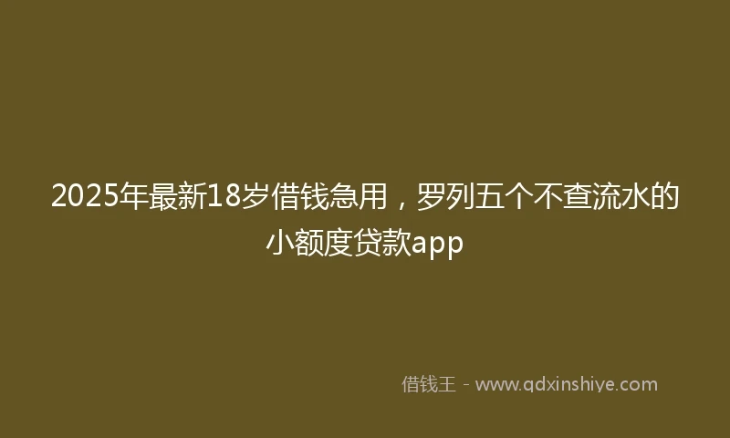 2025年最新18岁借钱急用，罗列五个不查流水的小额度贷款app