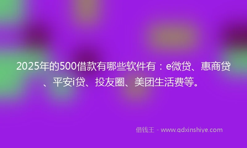 2025年的500借款有哪些软件有：e微贷、惠商贷、平安i贷、投友圈、美团生活费等。