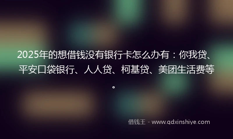 2025年的想借钱没有银行卡怎么办有：你我贷、平安口袋银行、人人贷、柯基贷、美团生活费等。