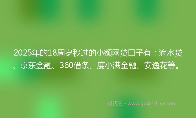 2025年的18周岁秒过的小额网贷口子有：滴水贷、京东金融、360借条、度小满金融、安逸花等。
