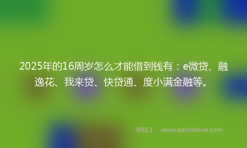 2025年的16周岁怎么才能借到钱有：e微贷、融逸花、我来贷、快贷通、度小满金融等。