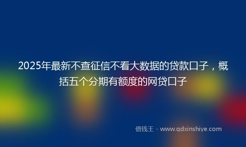 2025年最新不查征信不看大数据的贷款口子，概括五个分期有额度的网贷口子