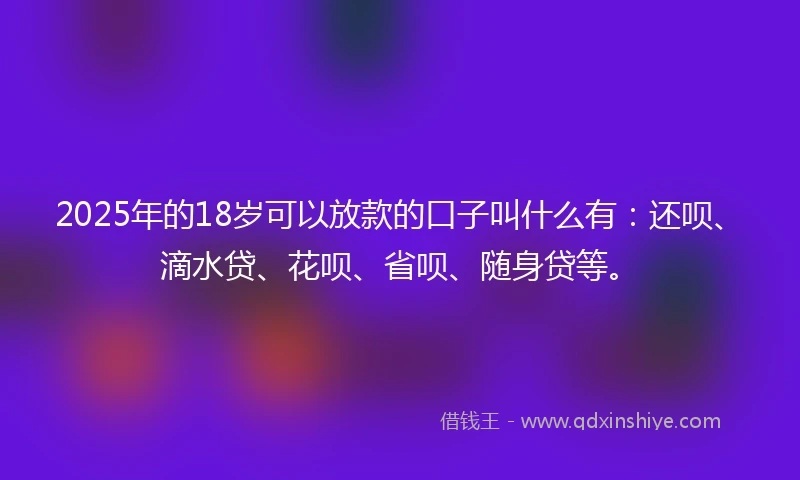 2025年的18岁可以放款的口子叫什么有：还呗、滴水贷、花呗、省呗、随身贷等。