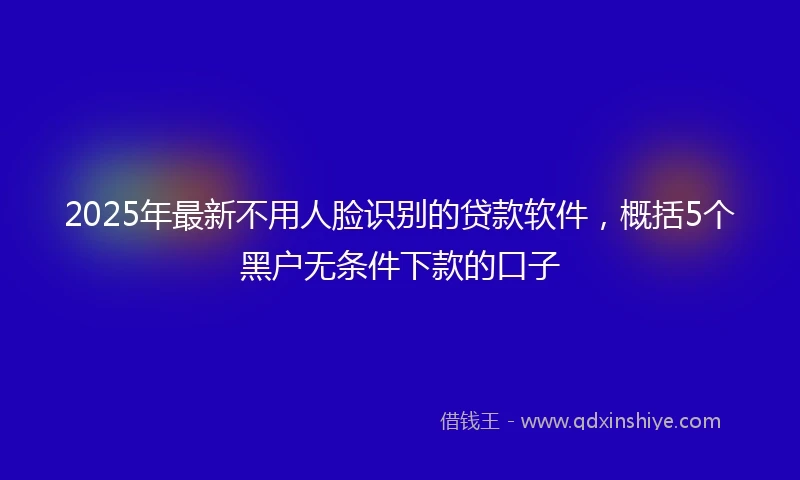 2025年最新不用人脸识别的贷款软件，概括5个黑户无条件下款的口子