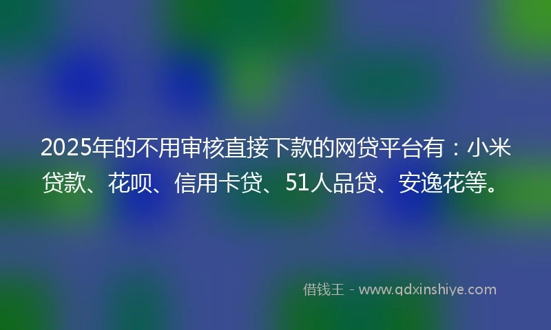 2025年的不用审核直接下款的网贷平台有：小米贷款、花呗、信用卡贷、51人品贷、安逸花等。