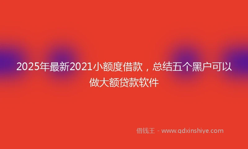 2025年最新2021小额度借款，总结五个黑户可以做大额贷款软件