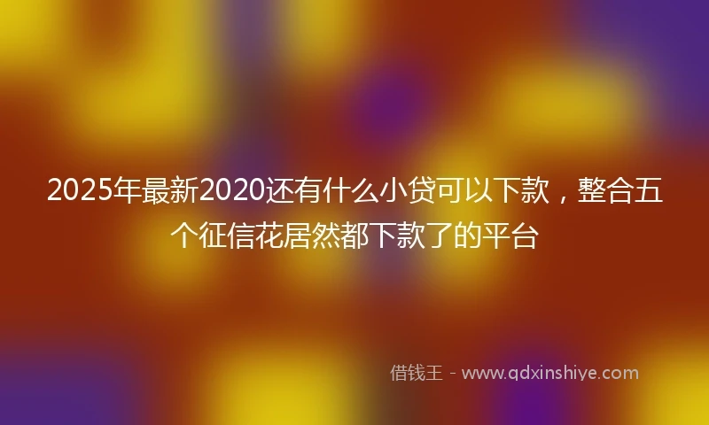 2025年最新2020还有什么小贷可以下款，整合五个征信花居然都下款了的平台