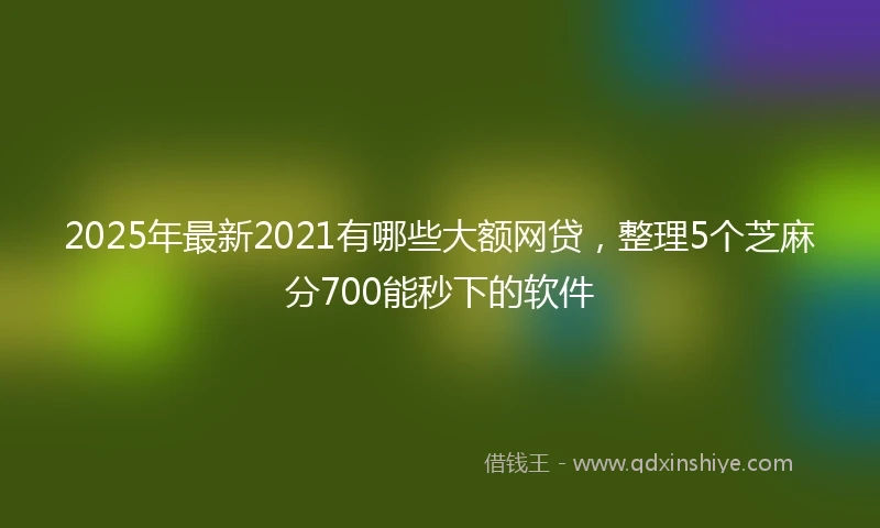 2025年最新2021有哪些大额网贷，整理5个芝麻分700能秒下的软件
