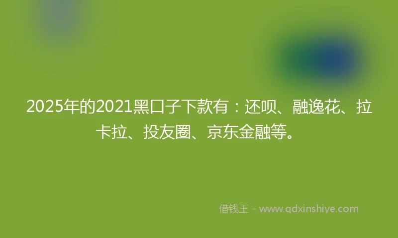 2025年的2021黑口子下款有：还呗、融逸花、拉卡拉、投友圈、京东金融等。