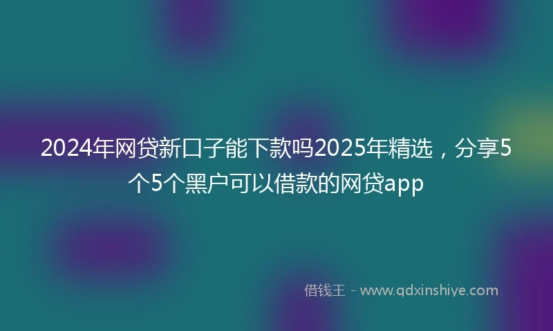 2024年网贷新口子能下款吗2025年精选，分享5个5个黑户可以借款的网贷app