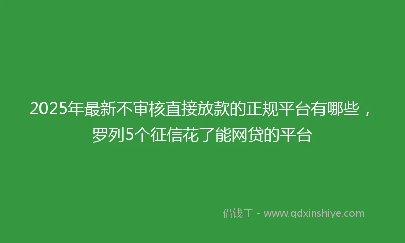 2025年最新不审核直接放款的正规平台有哪些，罗列5个征信花了能网贷的平台