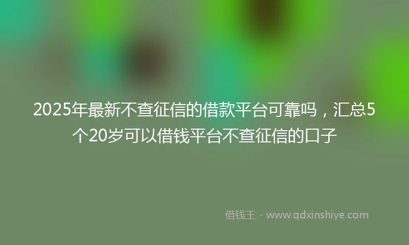 2025年最新不查征信的借款平台可靠吗，汇总5个20岁可以借钱平台不查征信的口子