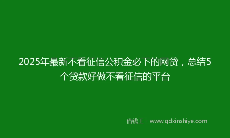 2025年最新不看征信公积金必下的网贷，总结5个贷款好做不看征信的平台