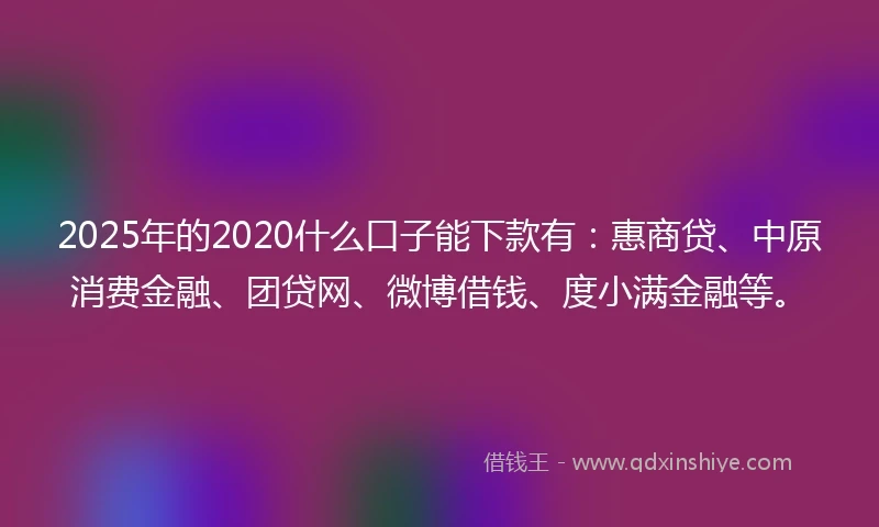 2025年的2020什么口子能下款有：惠商贷、中原消费金融、团贷网、微博借钱、度小满金融等。