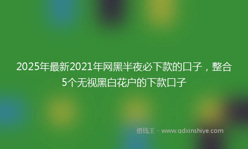2025年最新2021年网黑半夜必下款的口子，整合5个无视黑白花户的下款口子