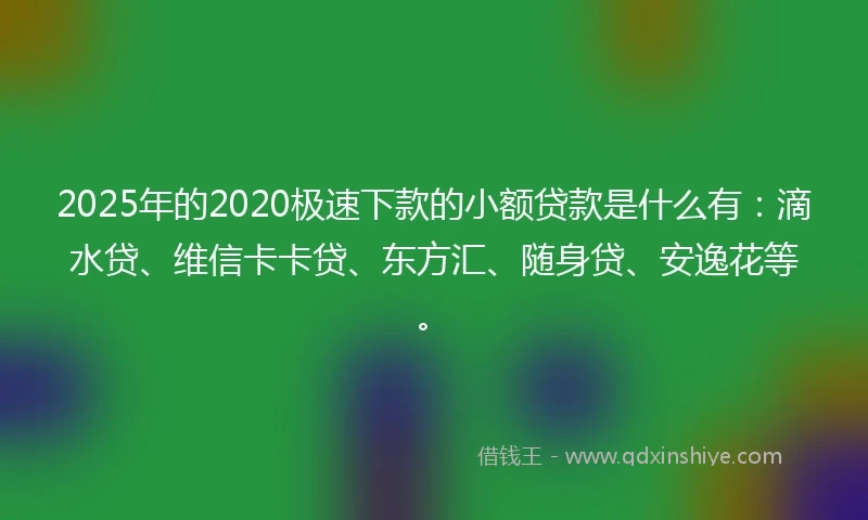 2025年的2020极速下款的小额贷款是什么有：滴水贷、维信卡卡贷、东方汇、随身贷、安逸花等。