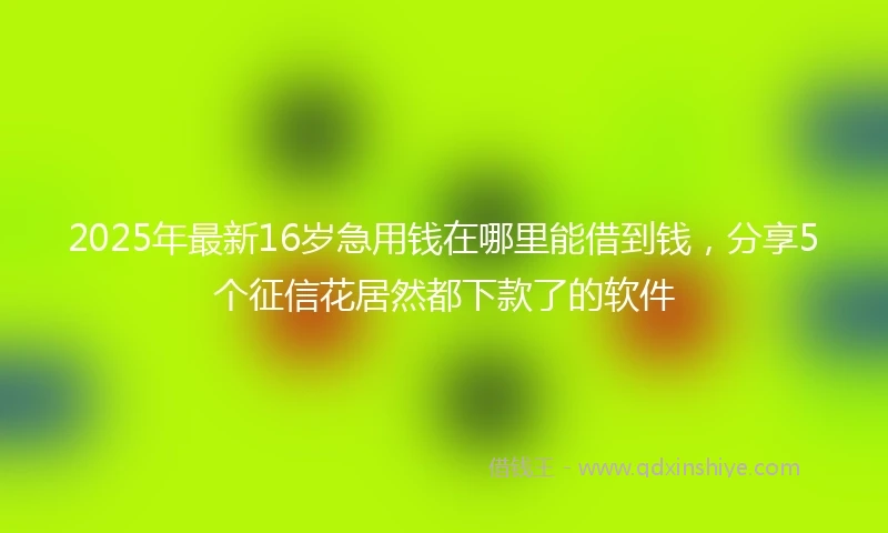 2025年最新16岁急用钱在哪里能借到钱，分享5个征信花居然都下款了的软件