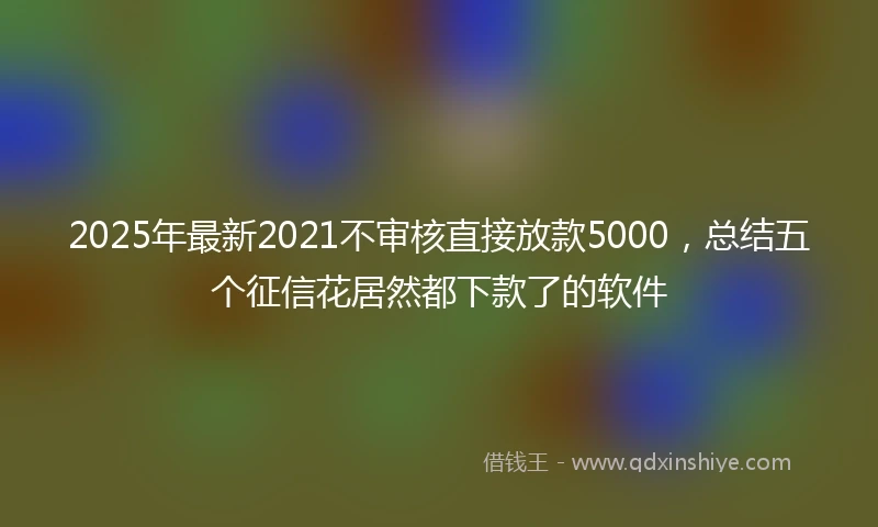 2025年最新2021不审核直接放款5000，总结五个征信花居然都下款了的软件