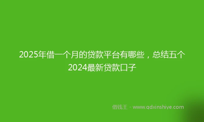 2025年借一个月的贷款平台有哪些，总结五个2024最新贷款口子