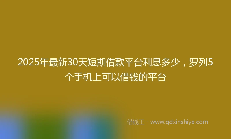2025年最新30天短期借款平台利息多少，罗列5个手机上可以借钱的平台