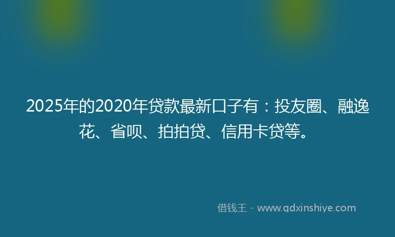 2025年的2020年贷款最新口子有：投友圈、融逸花、省呗、拍拍贷、信用卡贷等。