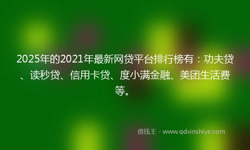 2025年的2021年最新网贷平台排行榜有：功夫贷、读秒贷、信用卡贷、度小满金融、美团生活费等。