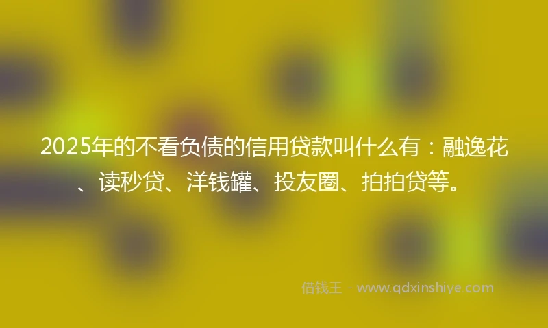2025年的不看负债的信用贷款叫什么有：融逸花、读秒贷、洋钱罐、投友圈、拍拍贷等。