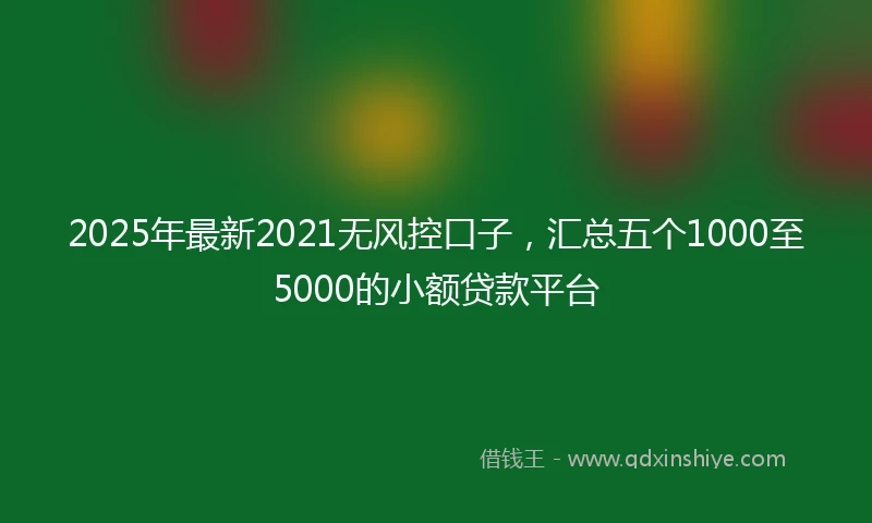 2025年最新2021无风控口子，汇总五个1000至5000的小额贷款平台