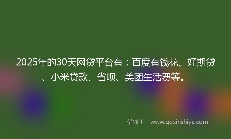 2025年的30天网贷平台有：百度有钱花、好期贷、小米贷款、省呗、美团生活费等。