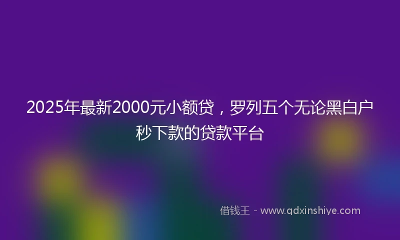 2025年最新2000元小额贷，罗列五个无论黑白户秒下款的贷款平台