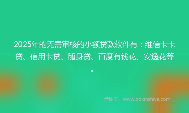 2025年的无需审核的小额贷款软件有：维信卡卡贷、信用卡贷、随身贷、百度有钱花、安逸花等。