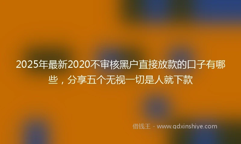 2025年最新2020不审核黑户直接放款的口子有哪些，分享五个无视一切是人就下款