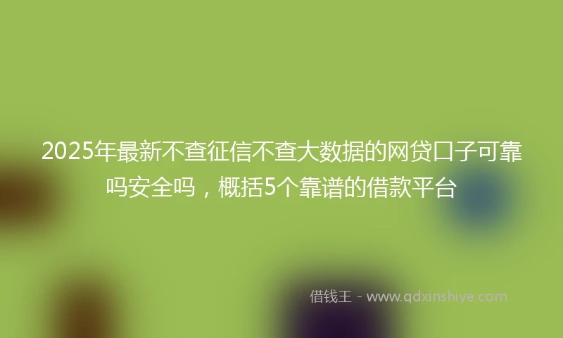 2025年最新不查征信不查大数据的网贷口子可靠吗安全吗，概括5个靠谱的借款平台