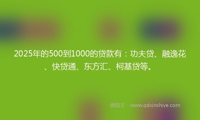 2025年的500到1000的贷款有：功夫贷、融逸花、快贷通、东方汇、柯基贷等。