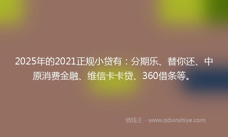 2025年的2021正规小贷有：分期乐、替你还、中原消费金融、维信卡卡贷、360借条等。