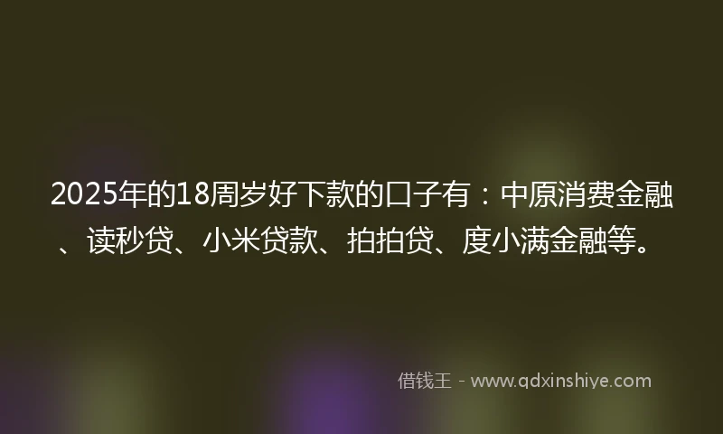 2025年的18周岁好下款的口子有：中原消费金融、读秒贷、小米贷款、拍拍贷、度小满金融等。